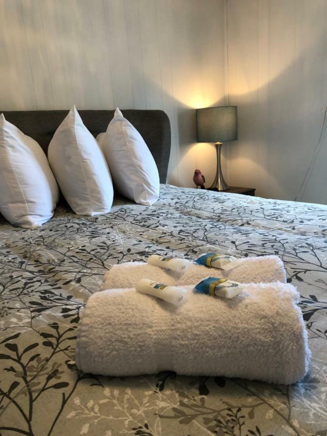 Alma'S Cape Shore Cottage! Your Home Away From Home! Bonavista Extérieur photo